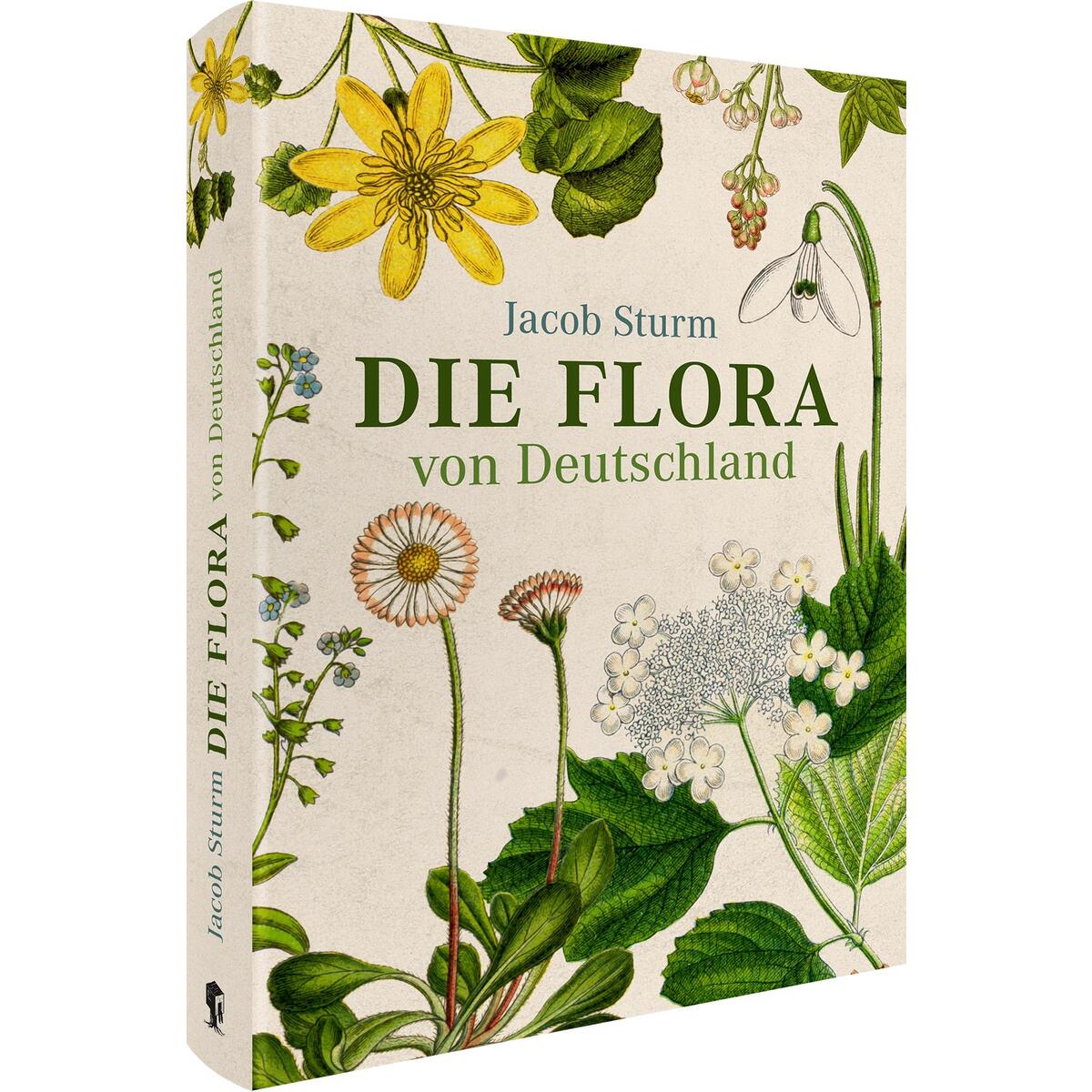 Jacob Sturm - Die Flora von Deutschland Jacob Sturm - Die Flora von Deutschland von Favoritenpresse