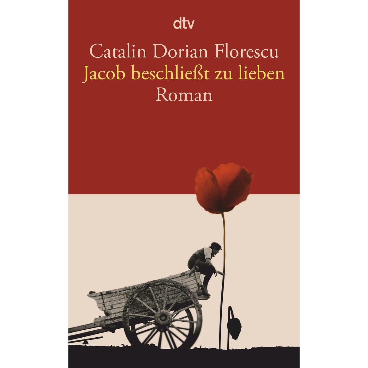 Jacob beschließt zu lieben von dtv Verlagsgesellschaft