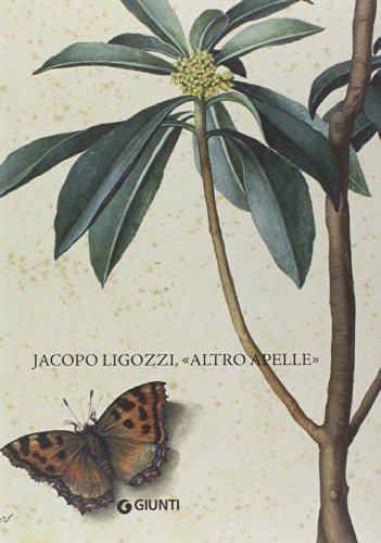 Jacopo Ligozzi, ''altro Apelle'' (Cataloghi arte) von Giunti