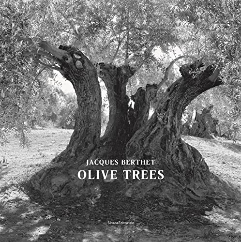 Jacques Berthet: Olive Trees von SILVANA
