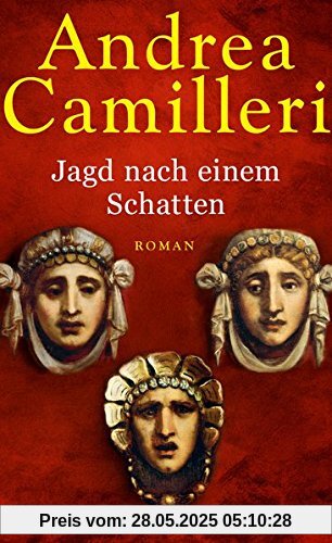 Jagd nach einem Schatten: Roman