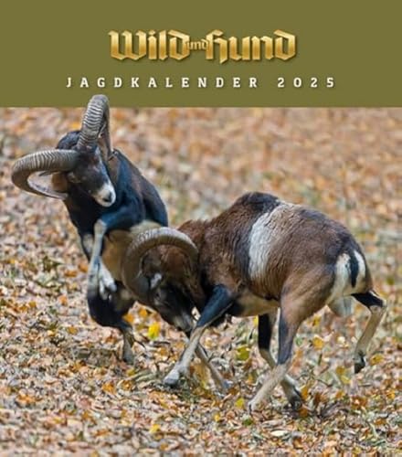 Jagdkalender Wandvariante 2025: Wild und Hund - Wandkalender Jagdkalender Wandvariante 2025: Wild und Hund - Wandkalender