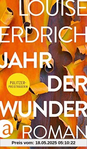 Jahr der Wunder: Roman