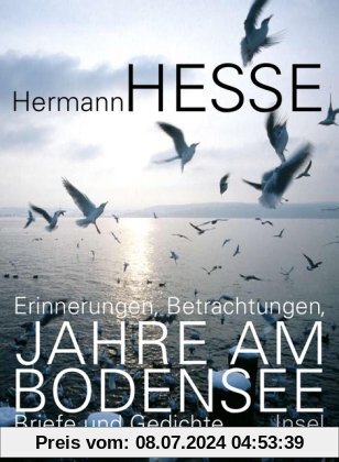 Jahre am Bodensee: Erinnerungen, Betrachtungen, Briefe und Gedichte