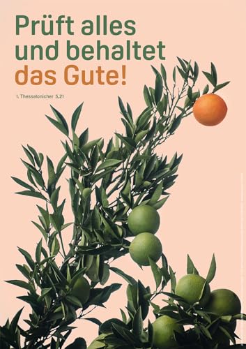 Jahreslosung 2025 - Poster A4 von adeo Verlag
