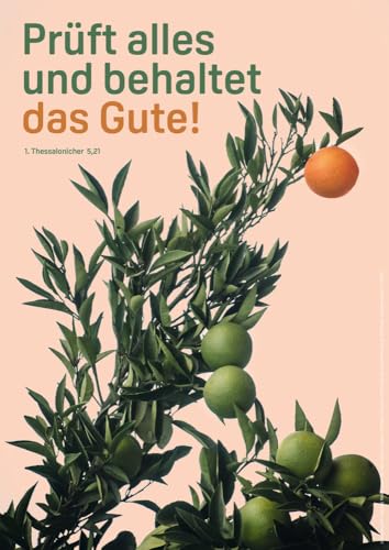 Jahreslosung 2025 - Poster A4 Jahreslosung 2025 - Poster A4 von adeo Verlag