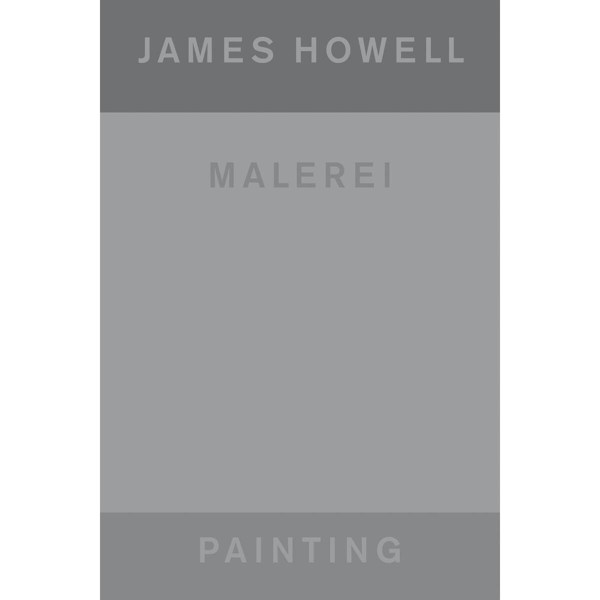 James Howell: Painting | Malerei James Howell: Painting | Malerei von Hatje Cantz Verlag GmbH