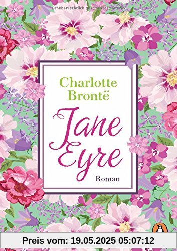 Jane Eyre: Roman