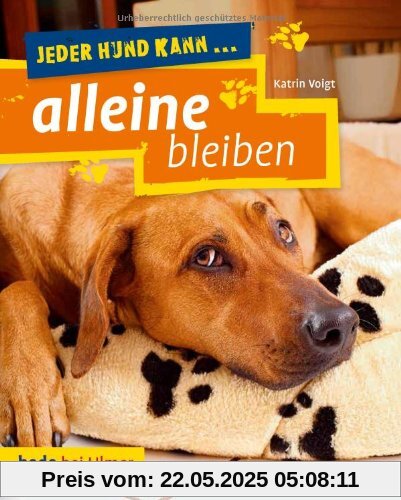 Jeder Hund kann alleine bleiben: Keine Angst vor dem Alleinsein Jeder Hund kann alleine bleiben: Keine Angst vor dem Alleinsein