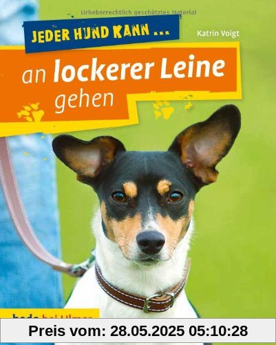 Jeder Hund kann an lockerer Leine gehen: Leinenführung leicht gemacht