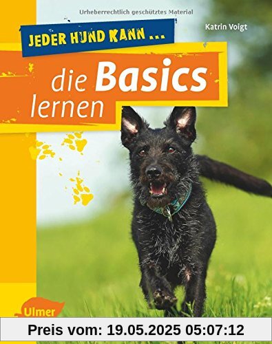 Jeder Hund kann die Basics lernen: Grunderziehung leicht gemacht