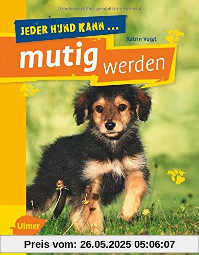 Jeder Hund kann mutig werden: Mutmach-Übungen für ängstliche Hunde