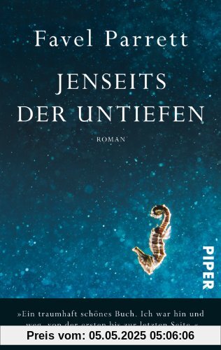 Jenseits der Untiefen: Roman