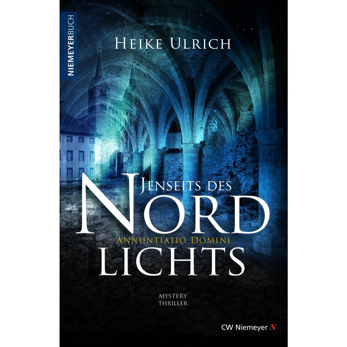 Jenseits des Nordlichts von Niemeyer C.W. Buchverlage