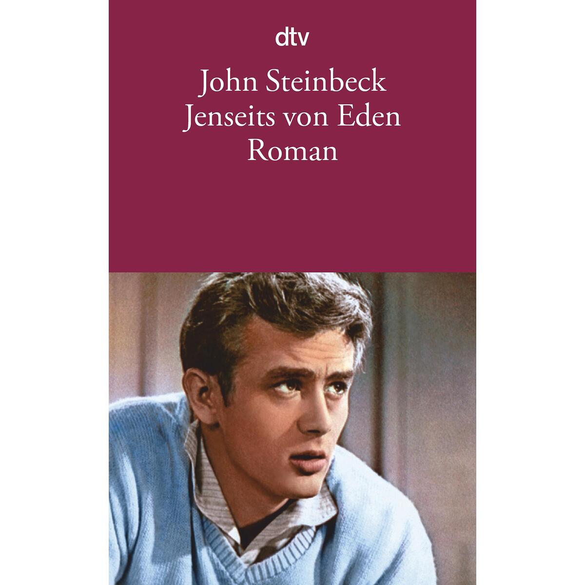 Jenseits von Eden von dtv Verlagsgesellschaft