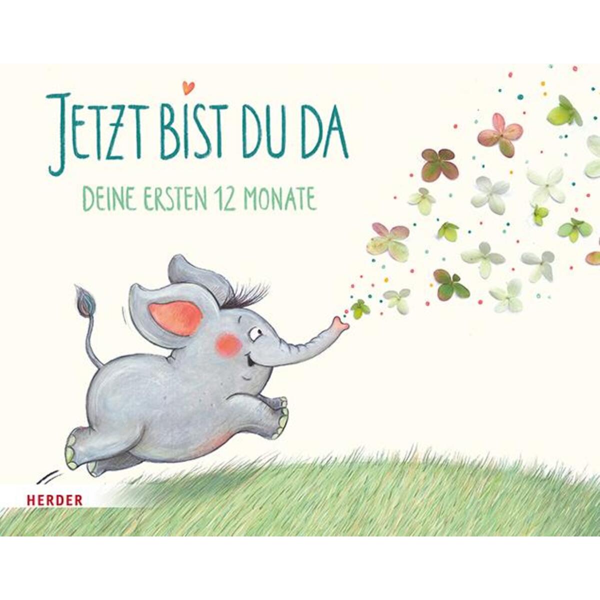 Jetzt bist du da von Herder Verlag GmbH