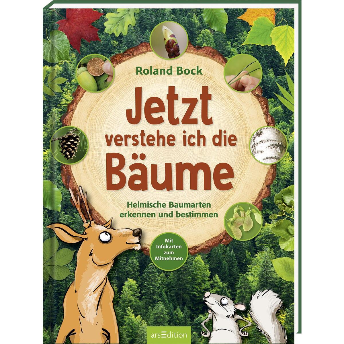 Jetzt verstehe ich die Bäume Jetzt verstehe ich die Bäume von Ars Edition GmbH
