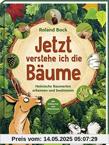 Jetzt verstehe ich die Bäume: Heimische Baumarten erkennen und bestimmen – mit Infokarten zum Mitnehmen | Kindersachbuch zu den 14 wichtigsten Laub- und Nadelbäumen ab 6 Jahren