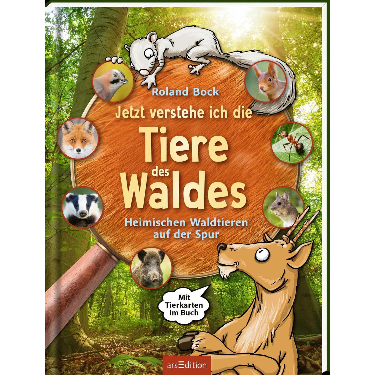 Jetzt verstehe ich die Tiere des Waldes Jetzt verstehe ich die Tiere des Waldes von Ars Edition GmbH
