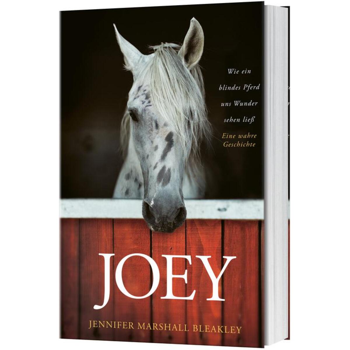 Joey - Wie ein blindes Pferd uns Wunder sehen ließ von Gerth Medien