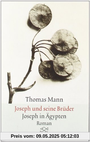 Joseph und seine Brüder. Joseph in Ägypten. Joseph und seine Brüder. Joseph in Ägypten.