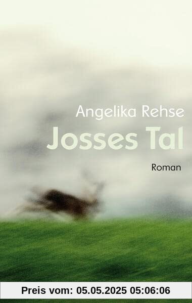 Josses Tal: Roman