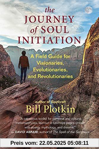 Journey of Soul Initiation: A Field Guide for Visionaries, Evolutionaries, and Revolutionaries
