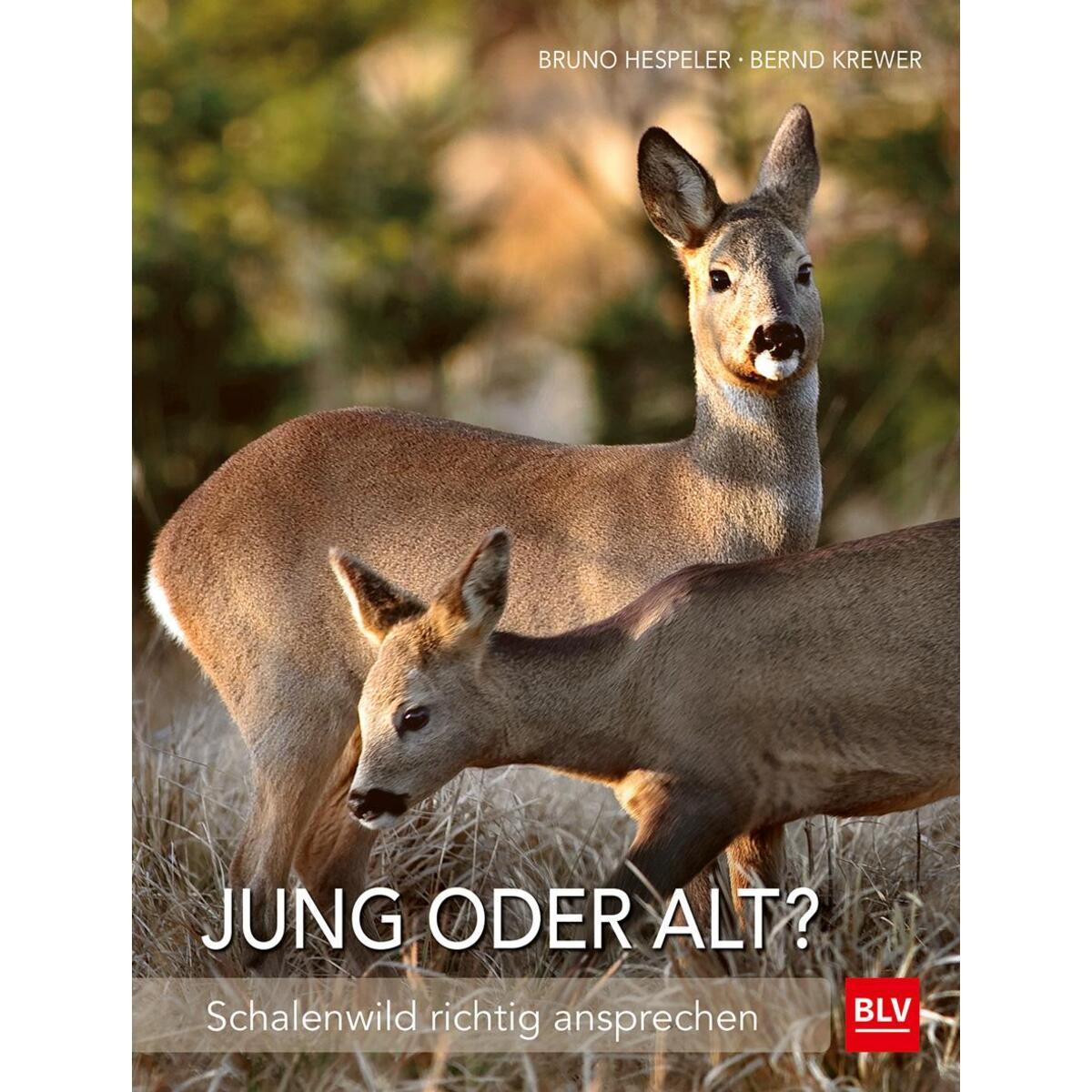 Jung oder alt? von Blv