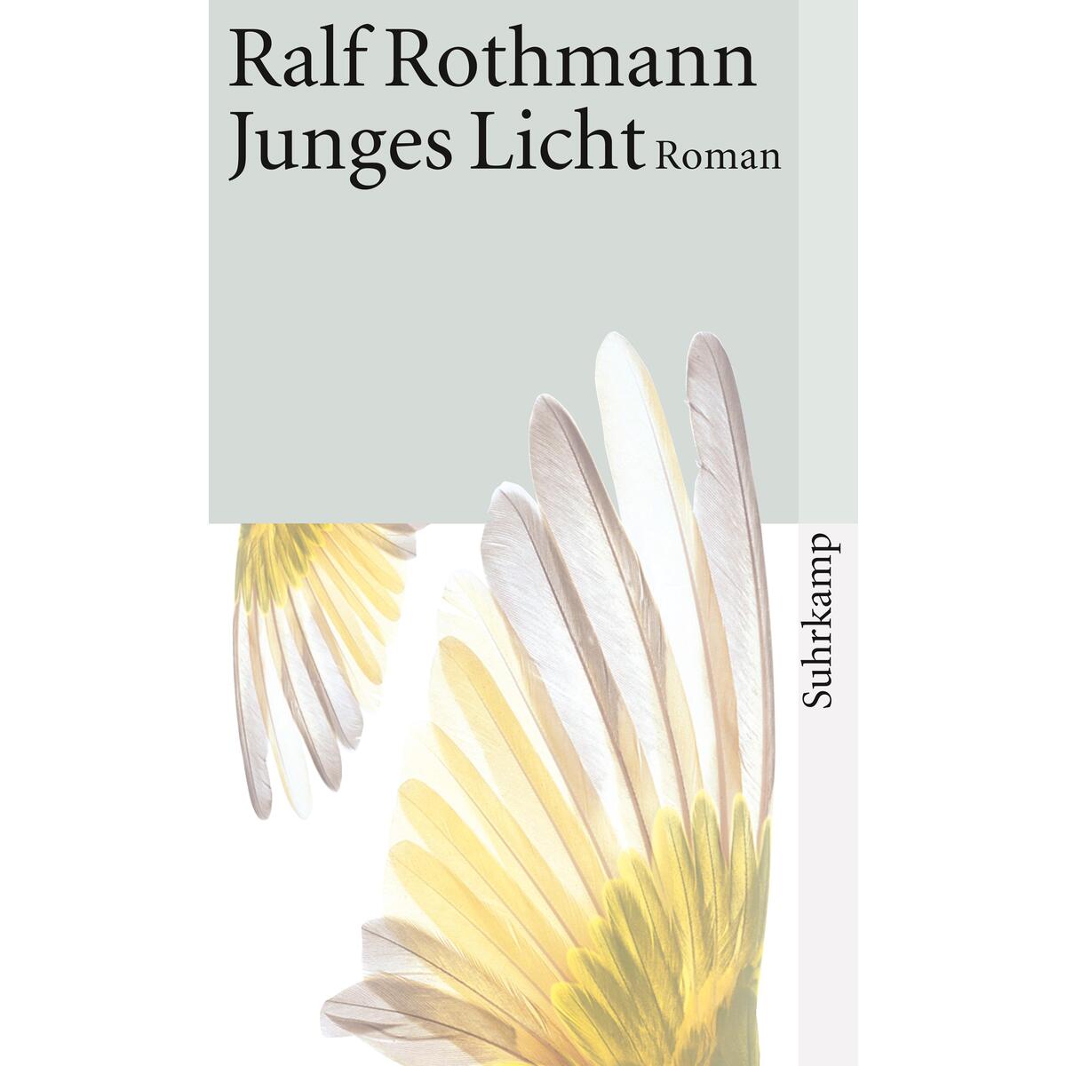 Junges Licht Junges Licht von Suhrkamp Verlag