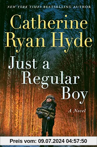 Just a Regular Boy: A Novel