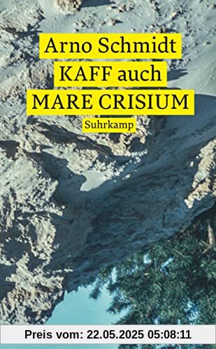 KAFF auch Mare Crisium: Roman (suhrkamp taschenbuch)