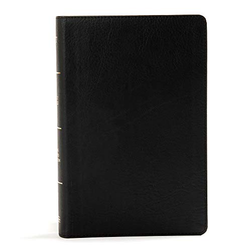 KJV Large Print Personal Size Reference Bible, Black Leathertouch: King James Version, Large Print, Personal Size, Reference, Black Leathertouch von Holman Bibles