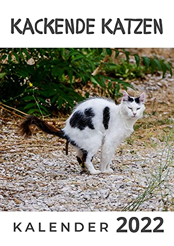 Kackende Katzen: Kalender 2022 von 27 Amigos