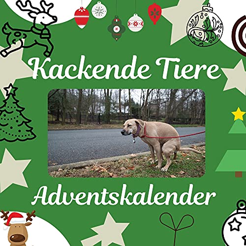 Kackende Tiere: Adventskalender