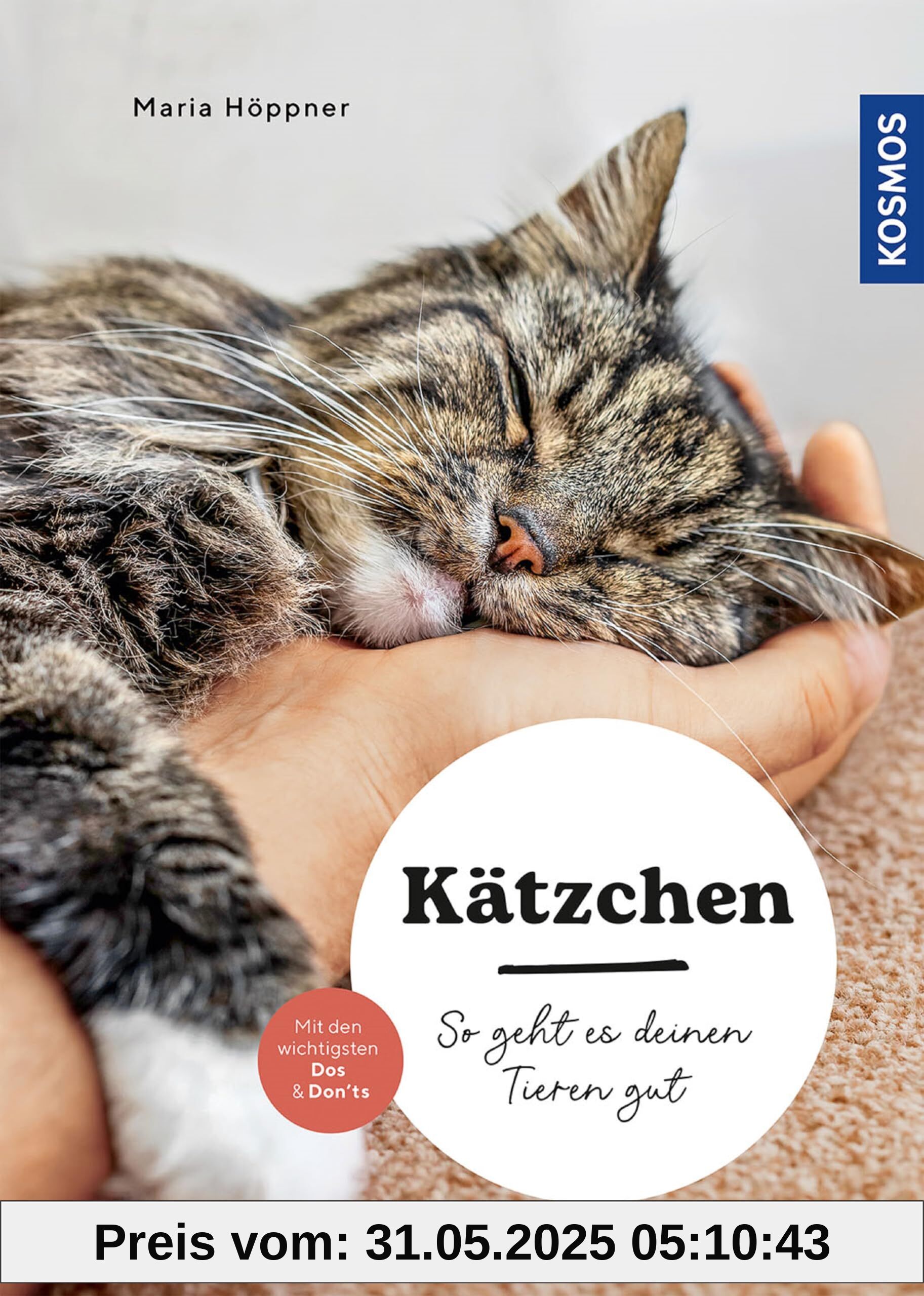Kätzchen: So geht es deinen Tieren gut – auswählen – halten - beschäftigen – mit den wichtigsten Dos & Don’ts