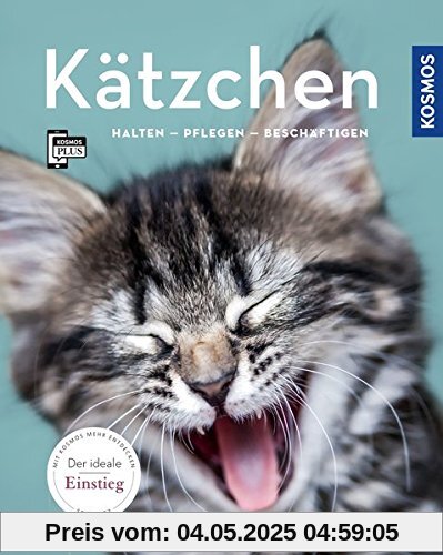 Kätzchen: halten, pflegen, beschäftigen (Mein Tier)