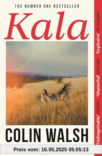 Kala: 'A spectacular read for Donna Tartt and Tana French fans'