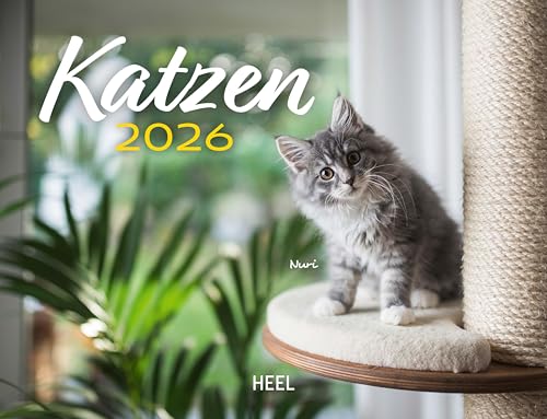 Kalender Katzen 2026 Eintragkalender: 12 super-süße, verspielte Kittens mit putzigen Namen von Heel
