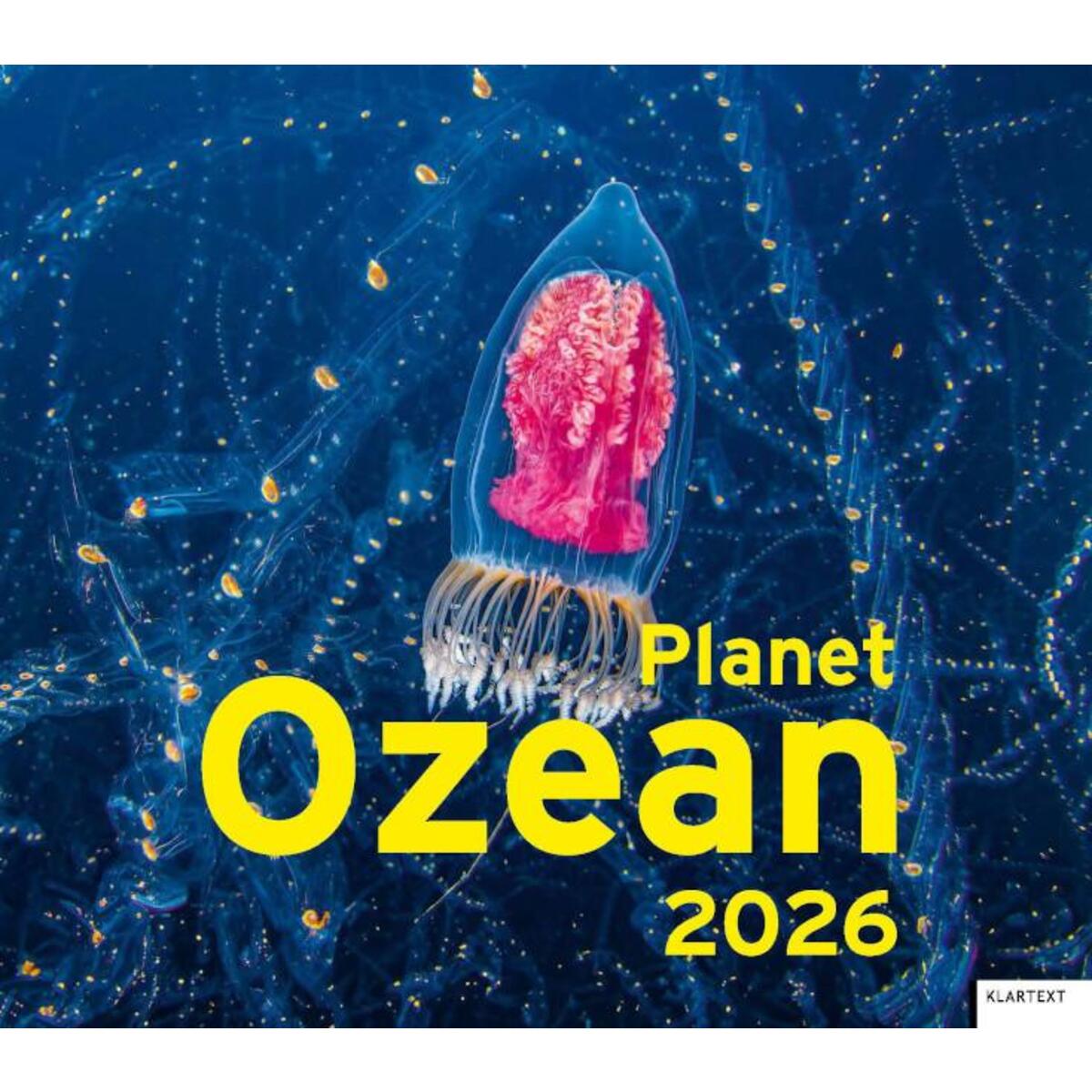 Kalender Planet Ozean 2026 Kalender Planet Ozean 2026 von Klartext Verlag