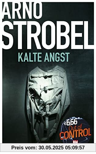 Kalte Angst: Im Kopf des Mörders (BILD am Sonntag Mega-Thriller 2022: Out of Control)