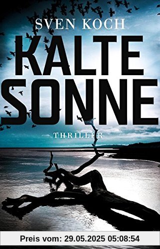 Kalte Sonne: Thriller