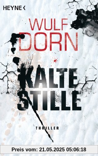 Kalte Stille: Roman Kalte Stille: Roman
