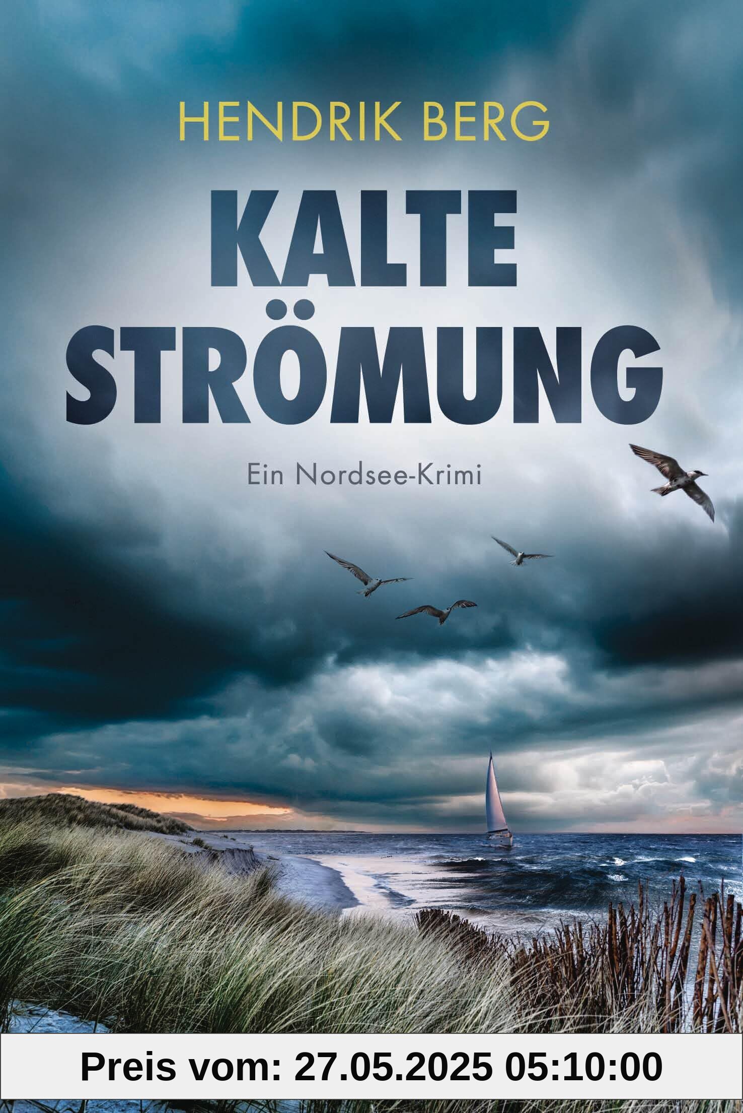 Kalte Strömung: Ein Nordsee-Krimi (Ein Fall für Theo Krumme, Band 11)