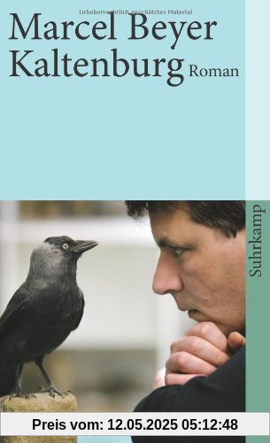 Kaltenburg: Roman (suhrkamp taschenbuch)