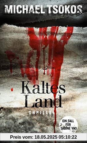 Kaltes Land: Ein Fall für Sabine Yao (Eiskalte Thriller)