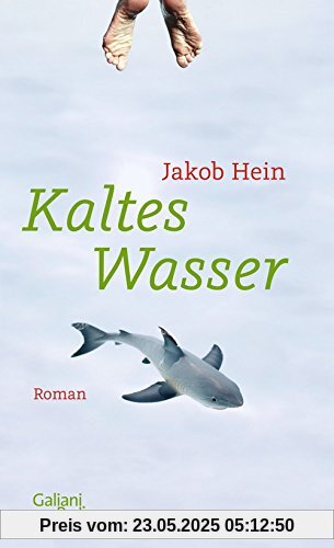 Kaltes Wasser: Roman
