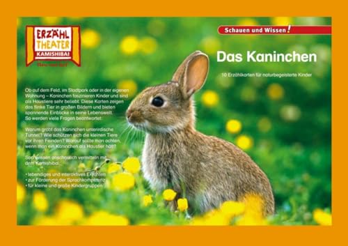 Das Kaninchen / Kamishibai Bildkarten: 10 Fotobildkarten für das Erzähltheater von Hase und Igel Verlag GmbH