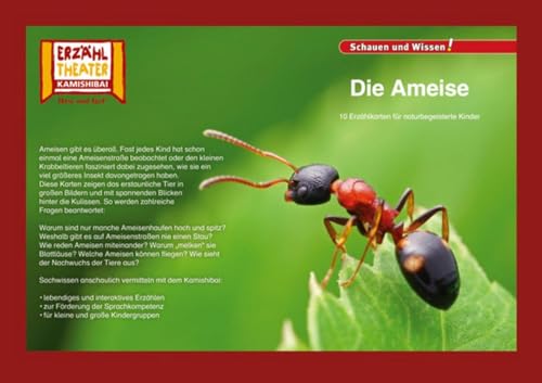 Die Ameise / Kamishibai Bildkarten: 10 Fotobildkarten für das Erzähltheater von Hase und Igel Verlag GmbH