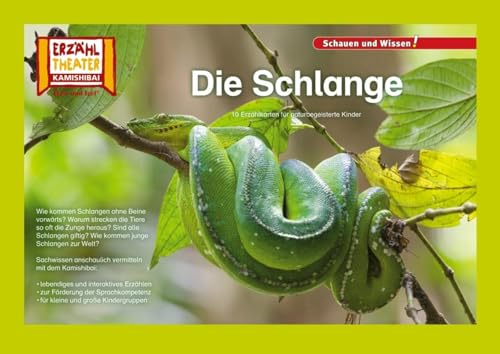 Kamishibai: Die Schlange: 10 Fotobildkarten für das Erzähltheater von Hase und Igel Verlag GmbH