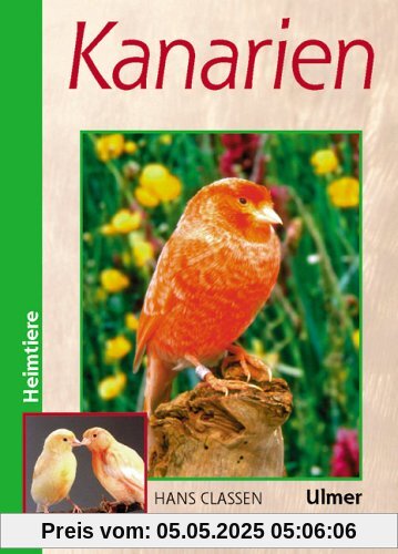 Kanarien: Verhalten, Ernährung, Pflege